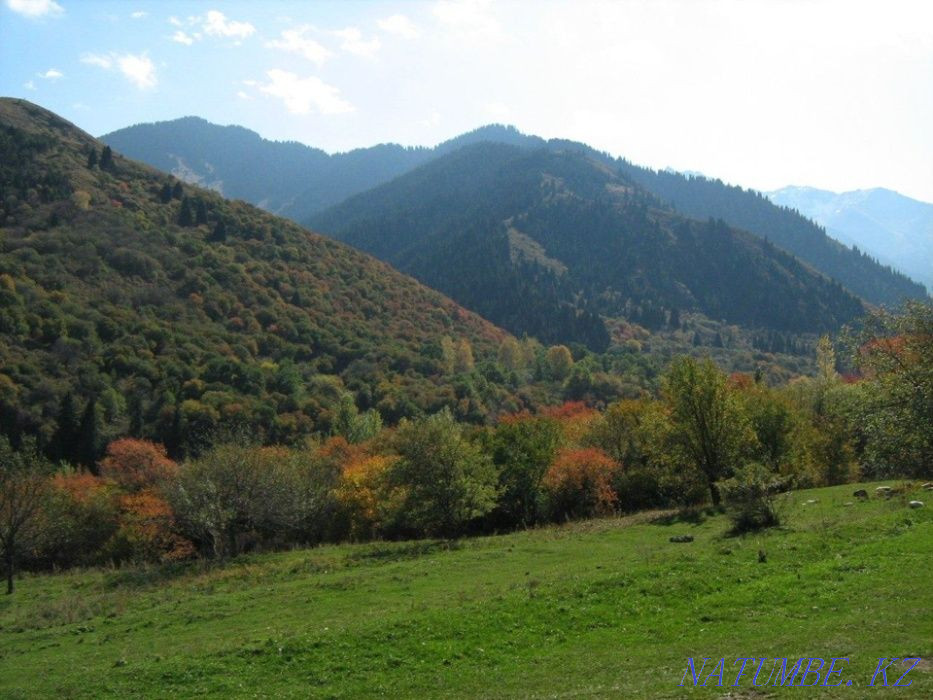   участок   Алматы - изображение 2