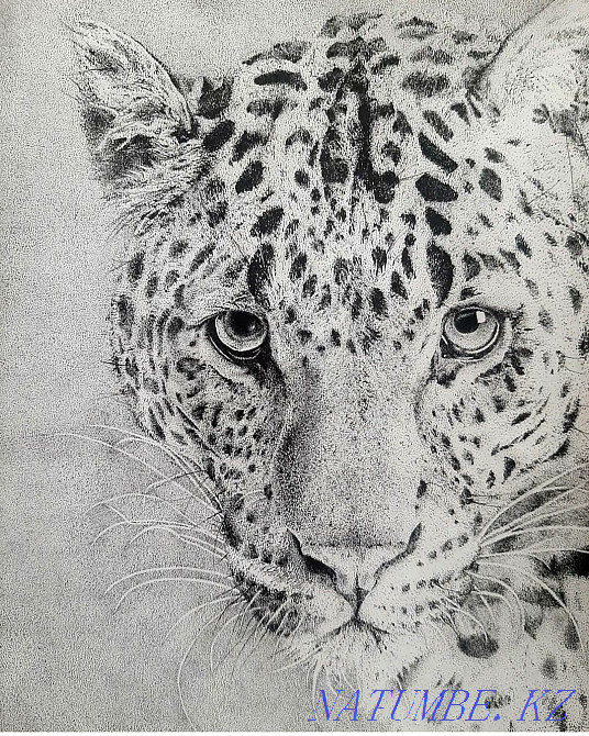 Портреты на заказ Алматы - изображение 5