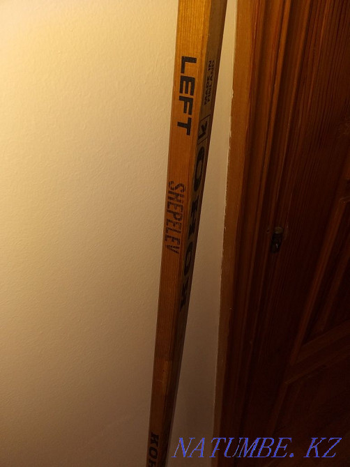 Stick koho Revolution