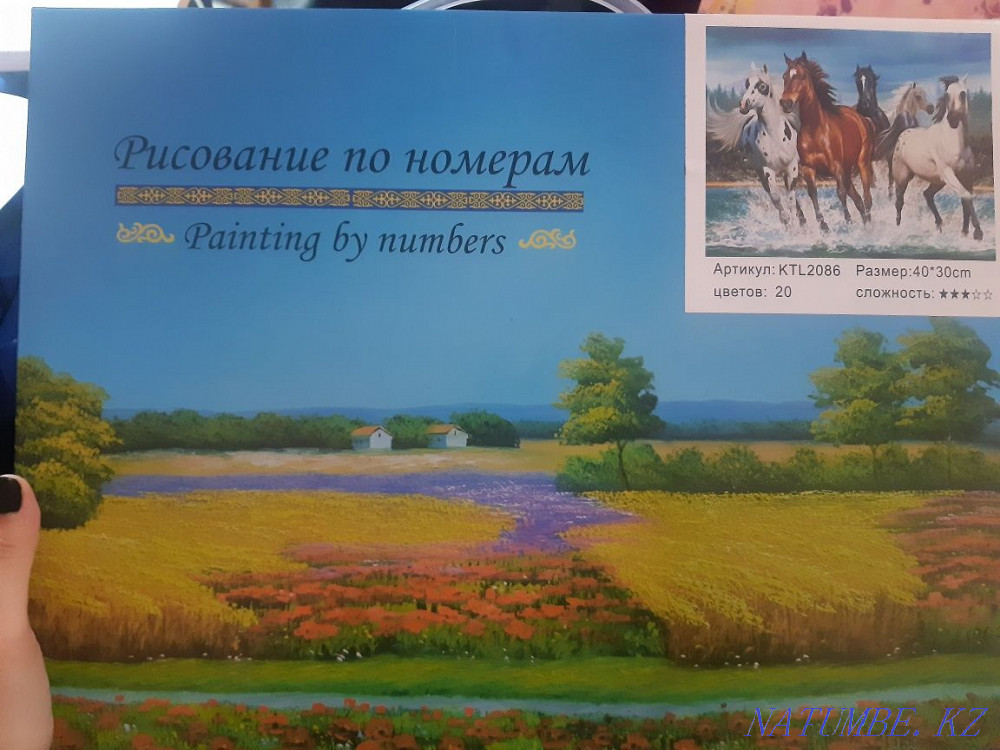 Картина по номерам 3500тг Алматы Алматы - изображение 1