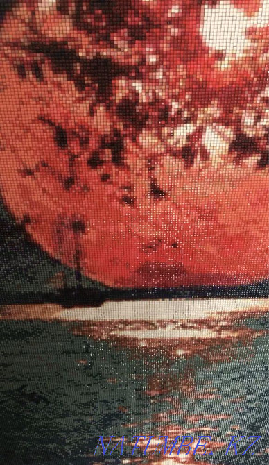 Картина из алмазной мозаики Алматы - изображение 2