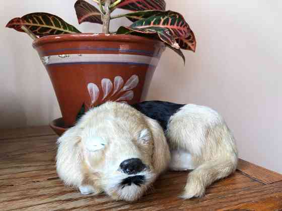 Игрушка собачка из натурального меха  Алматы