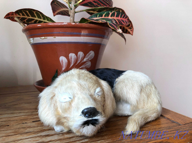 Игрушка собачка из натурального меха Алматы - изображение 1