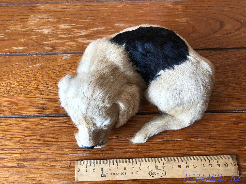 Игрушка собачка из натурального меха Алматы - изображение 2