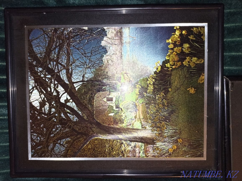 Грандиозная распродажа!!! 5 Картин стоимость за все 15000тг. Алматы - изображение 2