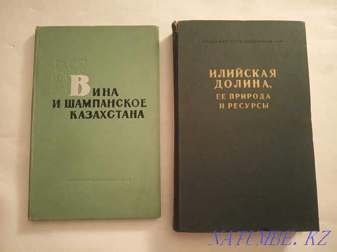 Книги о Жетысу, Казахстане редкие Алматы - изображение 6