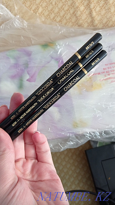 Пастель 60 цветов , сангина , уголь Алматы - изображение 3