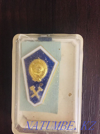 USSR badges Almaty - photo 3
