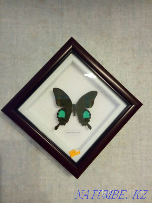 Картина Алматы - изображение 1