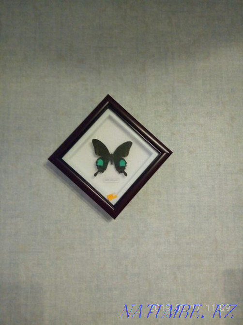 Картина Алматы - изображение 2