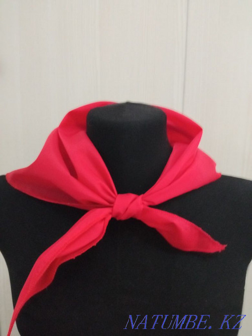 Pioneer tie Almaty - photo 1