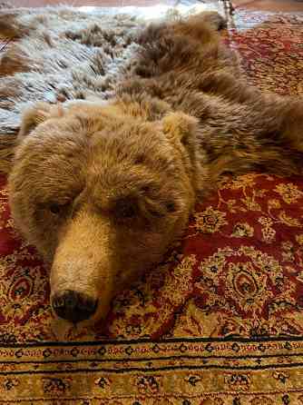 Медведь срочно в отличном состоянии, не использовался, торг Almaty
