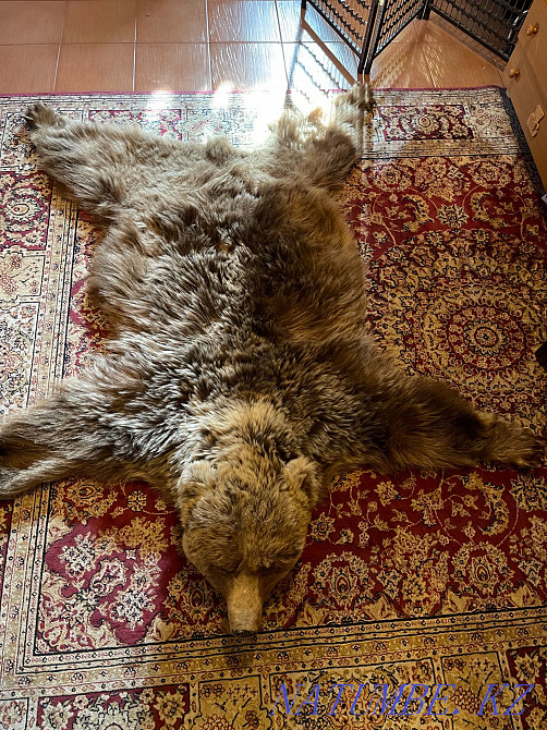 Медведь срочно в отличном состоянии, не использовался, торг Алматы - изображение 1
