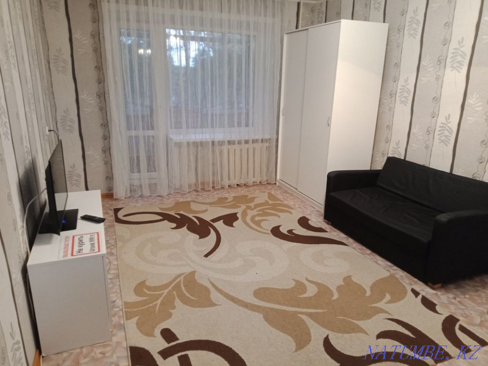  Караганда - изображение 2