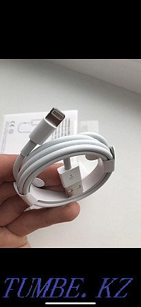 Charging iPhone ORIGINAL WARRANTY iPhone cable usb lightning cable cord Ust-Kamenogorsk - photo 3