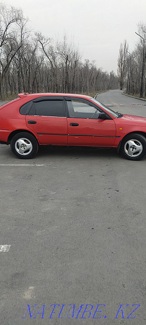 Toyota Corolla    year Almaty - photo 2