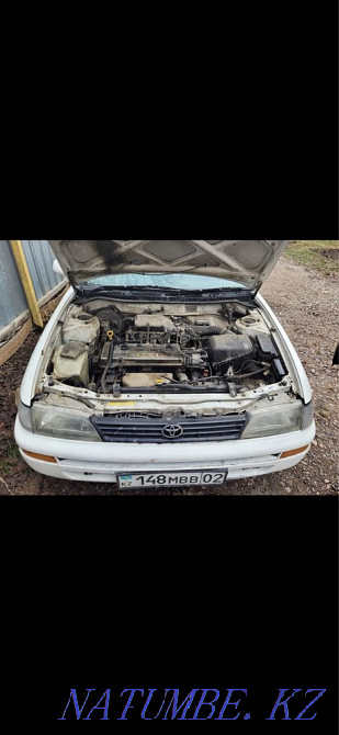 Toyota Corolla    year Almaty - photo 7