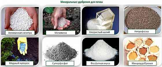 Закупаем калийные удобрения Новосибирск
