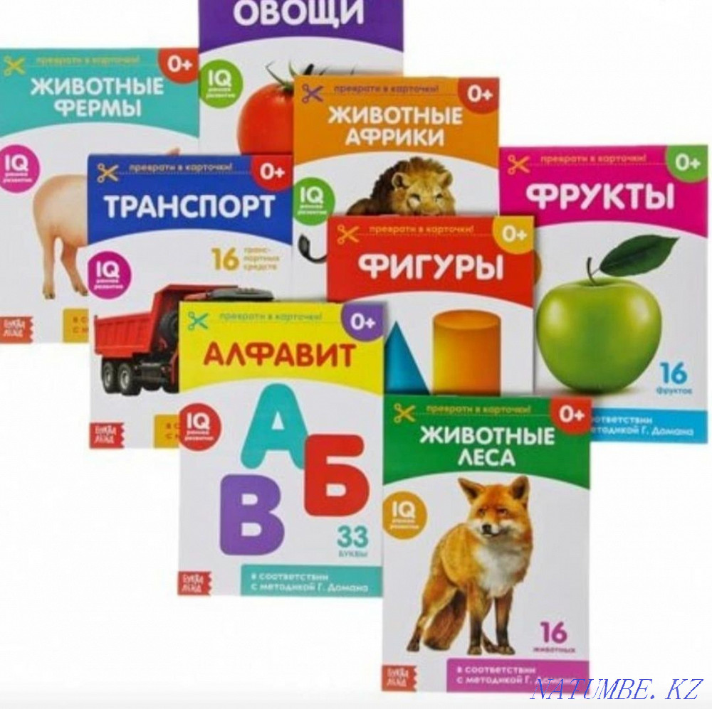 Educational Doman cards Astana - photo 1