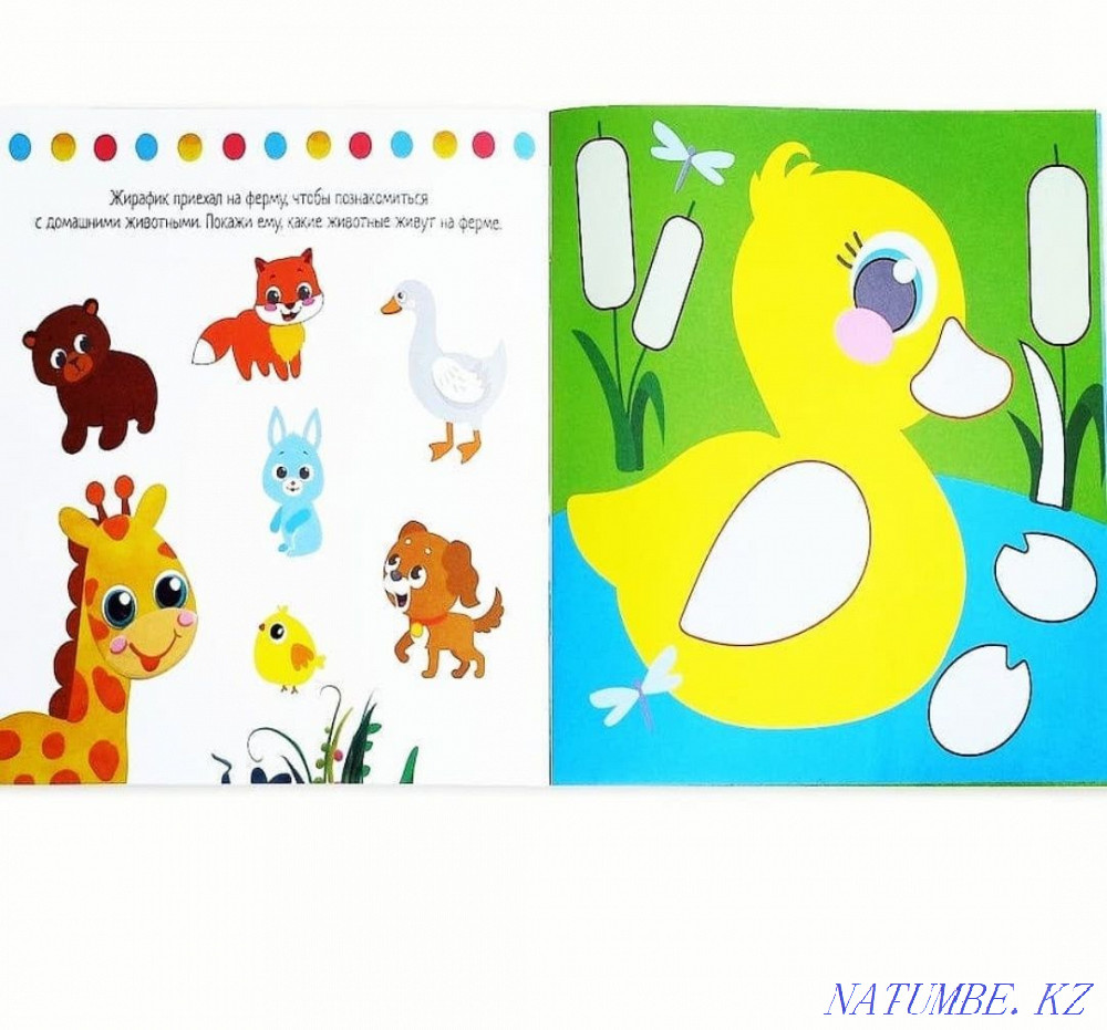 Plasticine applications Astana - photo 3