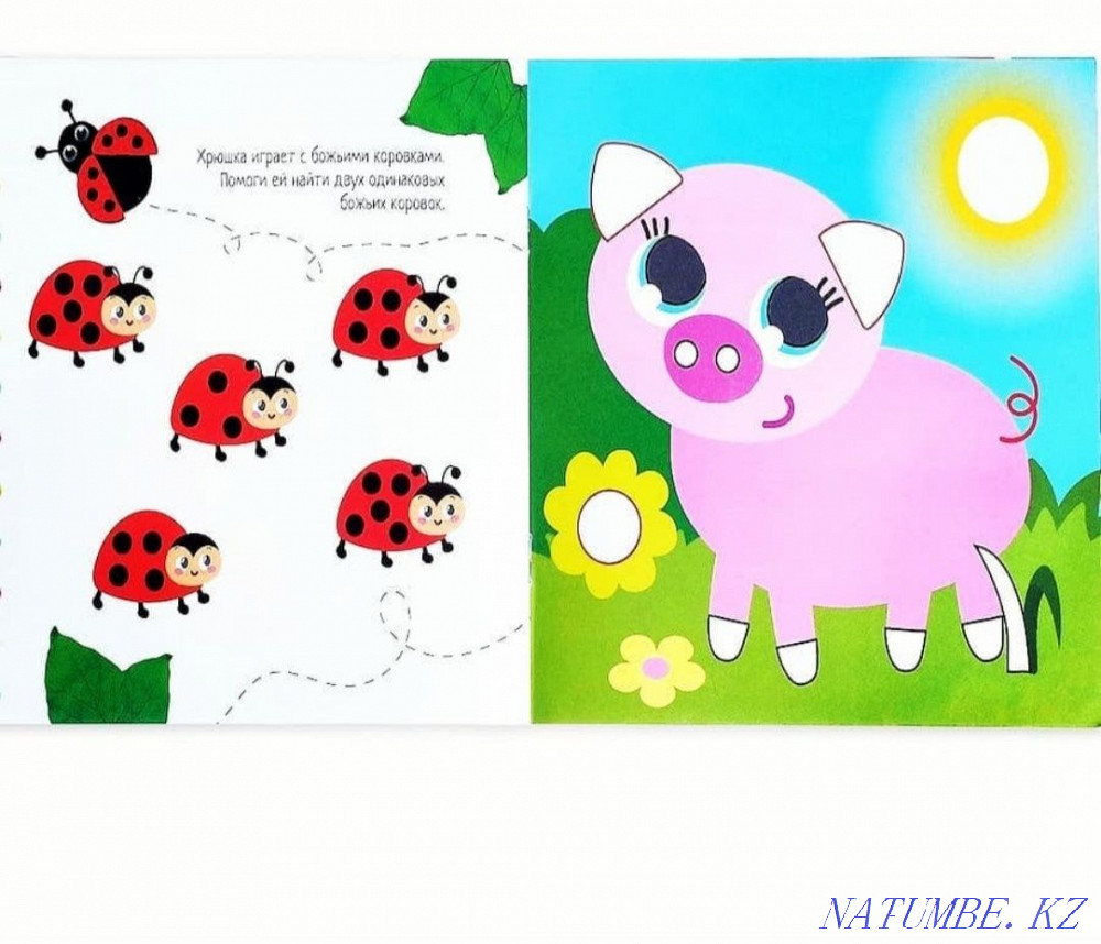 Plasticine applications Astana - photo 5