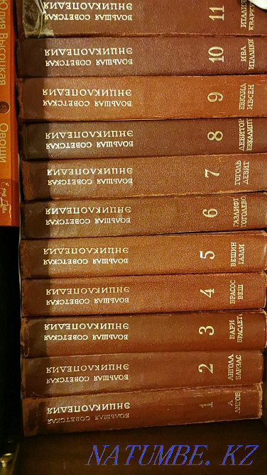 Soviet Encyclopedia Almaty - photo 1