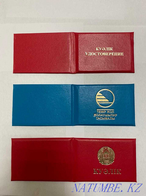 79 тг бастап сертификат қыртысының барлық дерлік түрлері Biot Ptm PromBez Elbez  - изображение 4