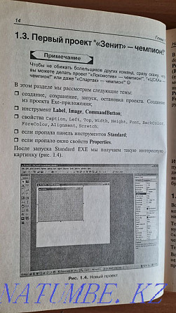 Visual Basic в задачах и примерах. Книга по программированию * Павлодар - изображение 6