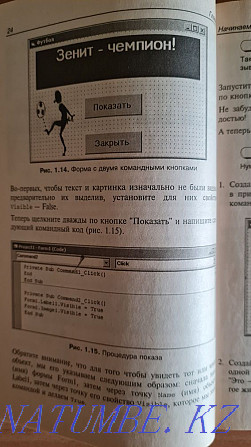 Visual Basic в задачах и примерах. Книга по программированию * Павлодар - изображение 8