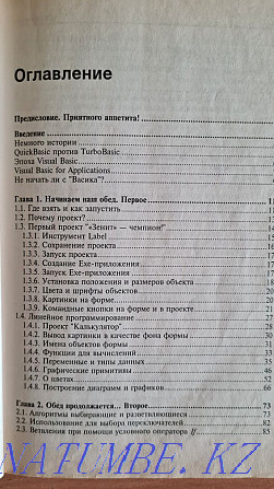 Visual Basic в задачах и примерах. Книга по программированию * Павлодар - изображение 2