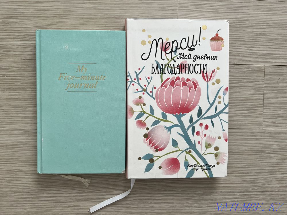 Gratitude Diary Astana - photo 1