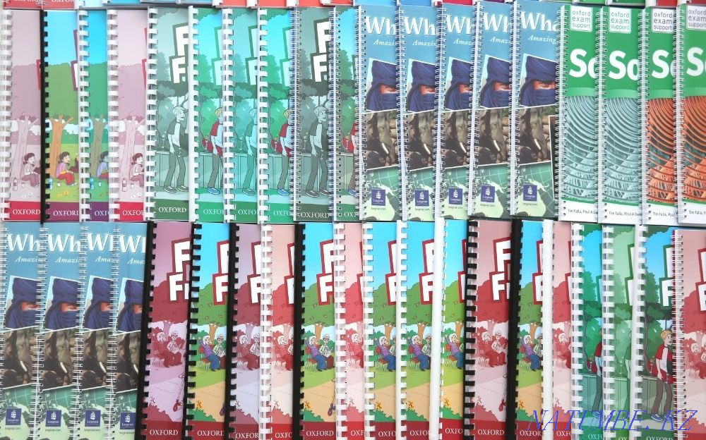 Project. New Challenges. Family and friends. Eyes Open. English Plus. Алматы - изображение 6