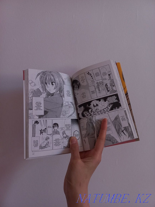 Торадора манга 1 том  Ақтөбе  - изображение 3
