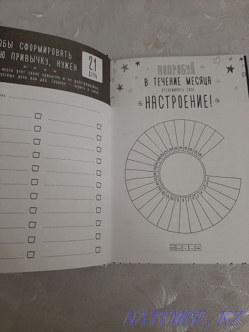 Big Mint Diary Pavlodar - photo 3