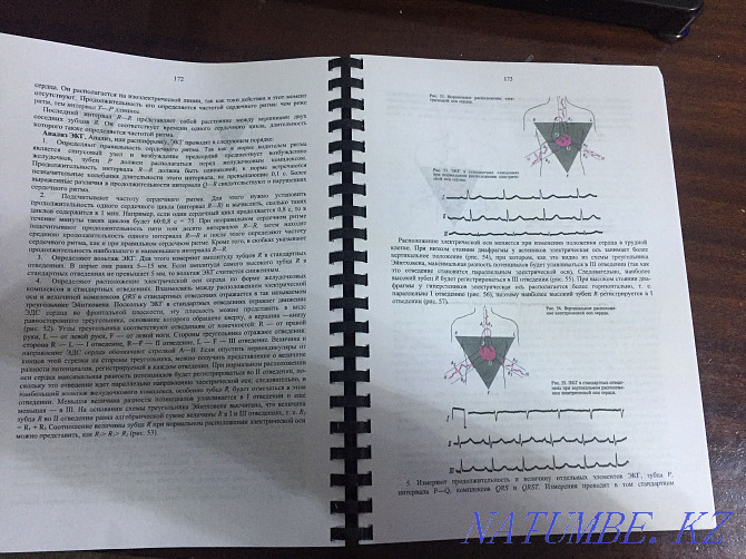 Пропедевтика внутренних болезней Алматы - изображение 4