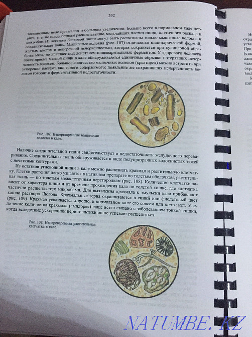 Propaedeutics of internal diseases Almaty - photo 6