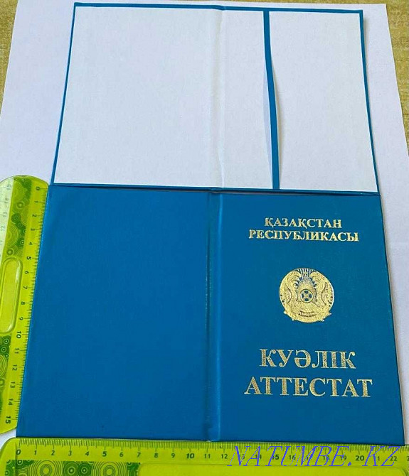 сертификат қыртысының барлық түрлері 79 теңгеден бастап сипаттамамен танысыңыз  - изображение 4