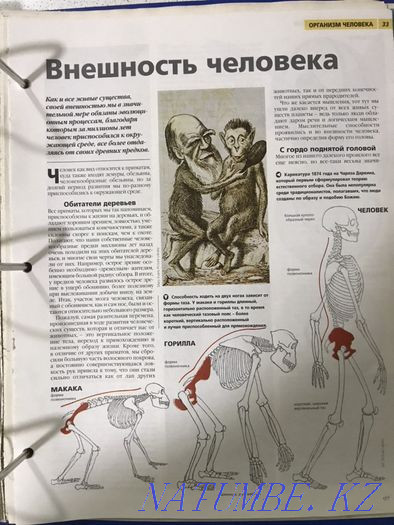 A guide for the whole family Almaty - photo 7