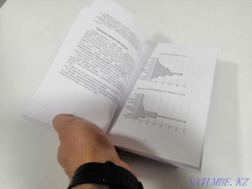 Book - The Theory of Castes and Roles Astana - photo 3