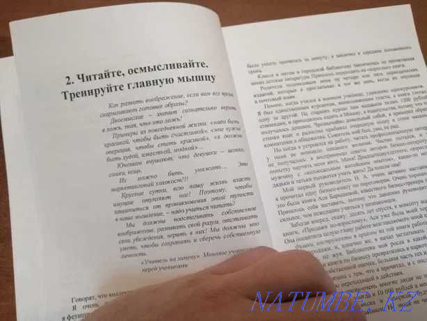 Книга - 45 татуировок менеджера Астана - изображение 4