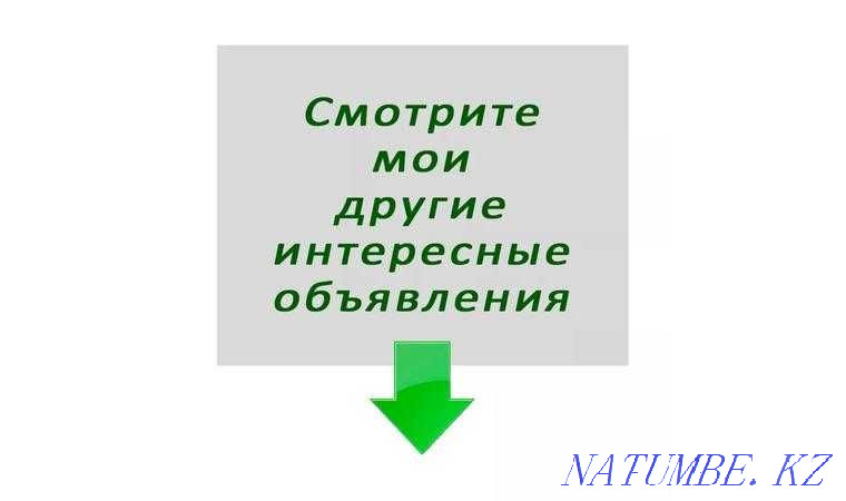 Book - 45 manager tattoos Astana - photo 5