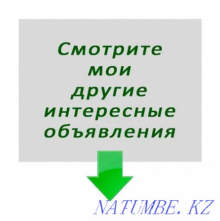 Книга - Забытые тайны Золотого Языка Астана - изображение 4