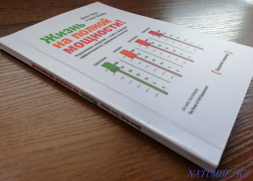 Книга - Жизнь на полной мощности Астана - изображение 1