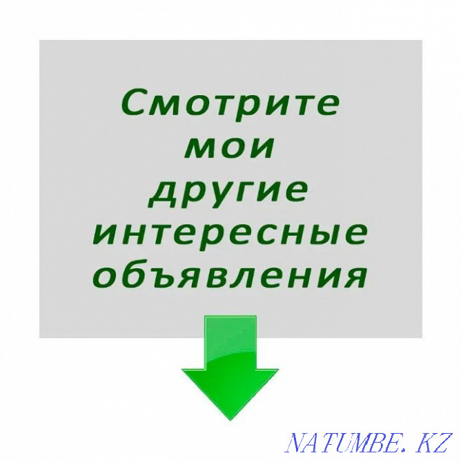 Book - Just Do It! Do it Simple! Astana - photo 4