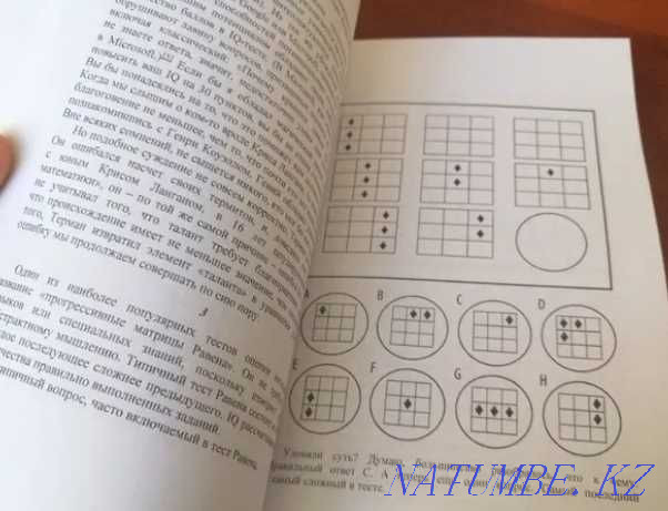 Book - Geniuses and Outsiders Astana - photo 3