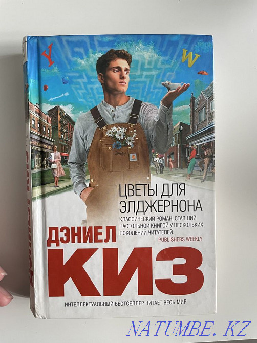 Цветы для Элджернона Павлодар - изображение 1