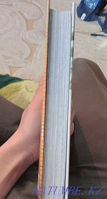 Манга One Punch Man  Өскемен - изображение 2