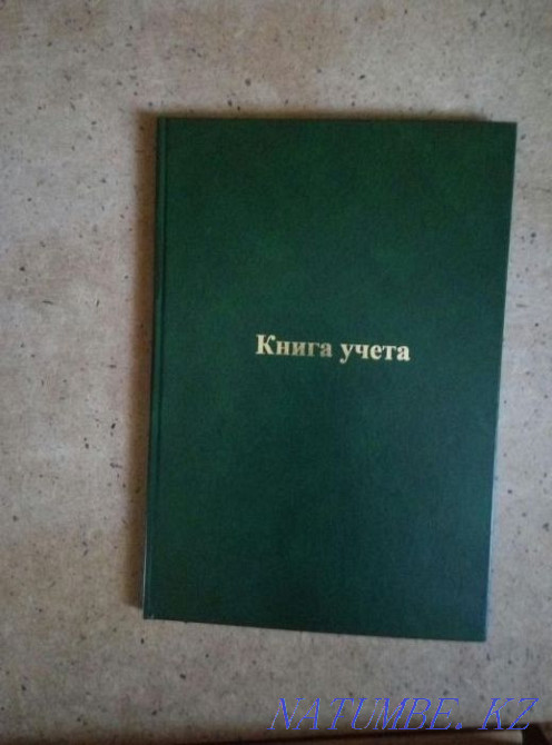 Ledger Kostanay - photo 1