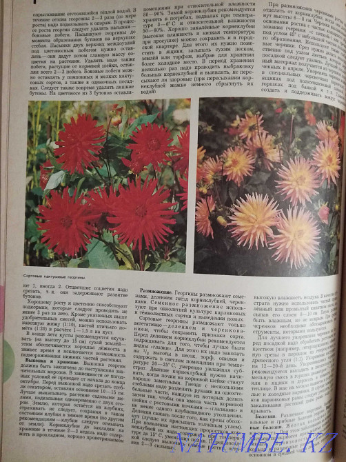 Краткая энциклопедия домашнего хозяйства Актобе - изображение 5