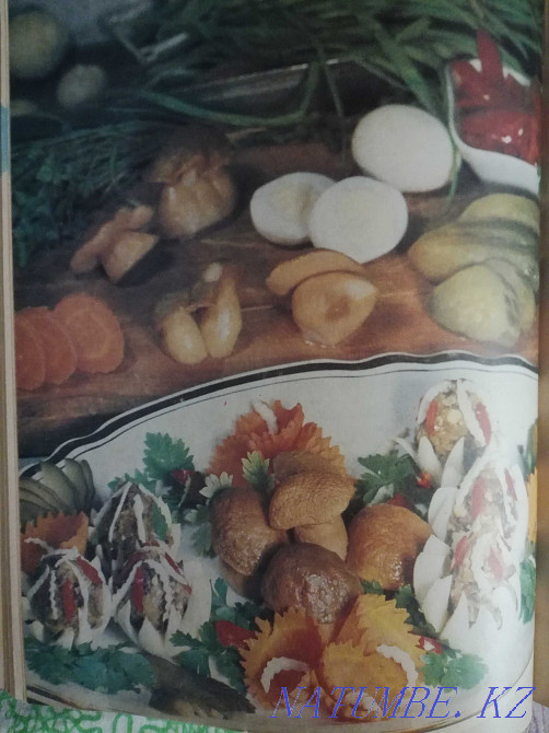 Краткая энциклопедия домашнего хозяйства Актобе - изображение 4